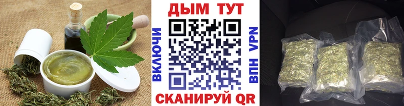 наркота  Заводоуковск  Cannafood конопля 