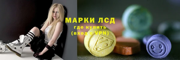 PSILOCYBIN Алзамай