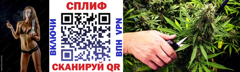 закладки  ссылка на мегу рабочий сайт  Каннабис SATIVA & INDICA  Заводоуковск 